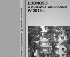 Living conditions of the population in Opolskie Voivodship in 2013 Foto