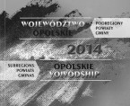 Opolskie Voivodship 2014 - subregions, powiats and gminas Foto