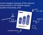 Structural changes of groups of the national economy entities in the REGON register in Opolskie Voivodship, 2025 Foto