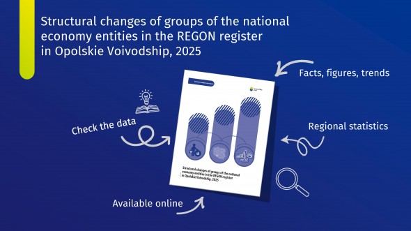 Structural changes of groups of the national economy entities in the REGON register in Opolskie Voivodship, 2025