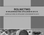 Agriculture in Opolskie Voivodship in 2013 Foto