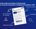 Financial results and outlays on fixed assets of non-financial enterprises in Opolskie Voivodship in 2025 Foto