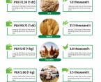 Agriculture in Opolskie Voivodship - January 2025 Foto