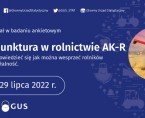 Ankieta koniunktury w gospodarstwie rolnym 15-29 lipca 2022 Foto