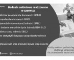 Badania ankietowe realizowane w czerwcu Foto
