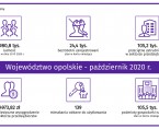 Informacja o sytuacji społeczno-gospodarczej województwa opolskiego w październiku 2020r. Foto