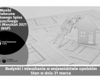 Infografika - Wyniki ostateczne NSP 2021 -  budynki i mieszkania w województwie opolskim Foto