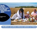 Infografika - wyniki wstępne NSP 2021 - struktura narodowo - etniczna w Polsce Foto