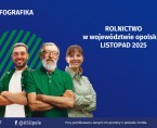 Infografika - Rolnictwo w województwie opolskim - LISTOPAD 2025 Foto