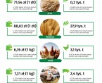 Infografika - Rolnictwo w województwie opolskim - CZERWIEC 2025 Foto