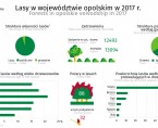 Lasy w województwie opolskim w 2017 r. Foto