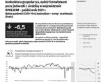 Koniunktura gospodarcza w województwie opolskim - październik 2021 r. Foto