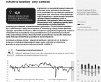 Koniunktura gospodarcza w województwie opolskim – grudzień 2023 r. Foto