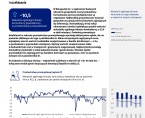 Koniunktura gospodarcza w województwie opolskim – listopad 2024 r. Foto