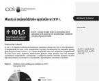 Miasta w województwie opolskim w 2017 r. Foto