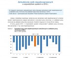 Zatrudnienie osób niepełnosprawnych w województwie opolskim w 2016 r. Foto