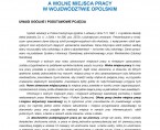 Absolwenci szkolnictwa zawodowego a wolne miejsca pracy w województwie opolskim. Foto