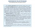 Bezrobocie rejestrowane w województwie opolskim w 2016 r. Foto