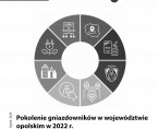 Pokolenie gniazdowników w województwie opolskim  Foto
