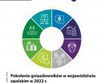 Pokolenie gniazdowników w województwie opolskim  Foto