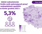 Cudzoziemcy wykonujący pracę w Polsce w 2022 r. Foto