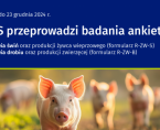 Badania statystyczne z zakresu rolnictwa Foto